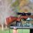 Webley & Scott