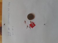 20170226_101638.jpg