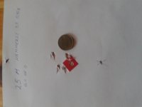 20170226_101724.jpg
