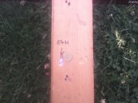 IMG_20170625_173627.jpg