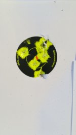 IMG-20180922-WA0007.jpeg