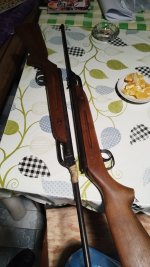 2x Z M56.jpg