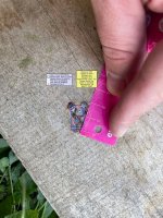 IMG_1196.jpeg