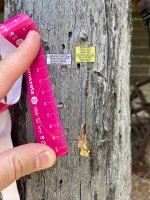 IMG_1180.jpeg