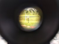 IMG_20190511_154806.jpg