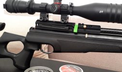 20190731_155437.jpg
