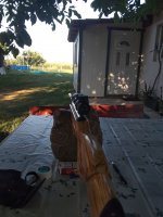 IMG_20190801_182548.jpg