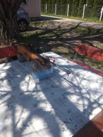 IMG_20200417_121756_resize_61.jpg