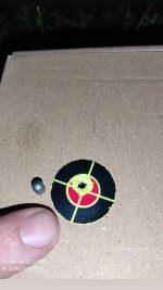 IMG_20201230_201149_149.jpg