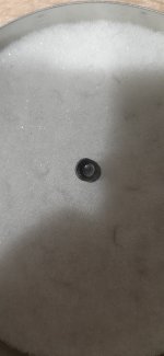 20210401_063250.jpg